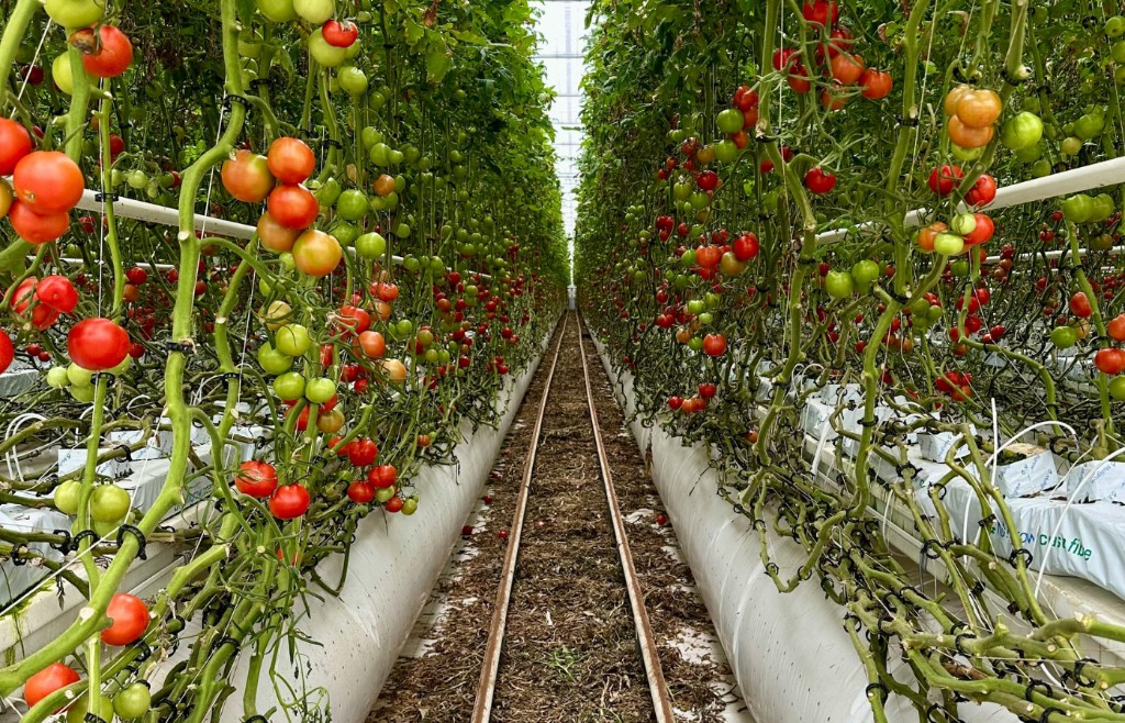 Industrial Automation