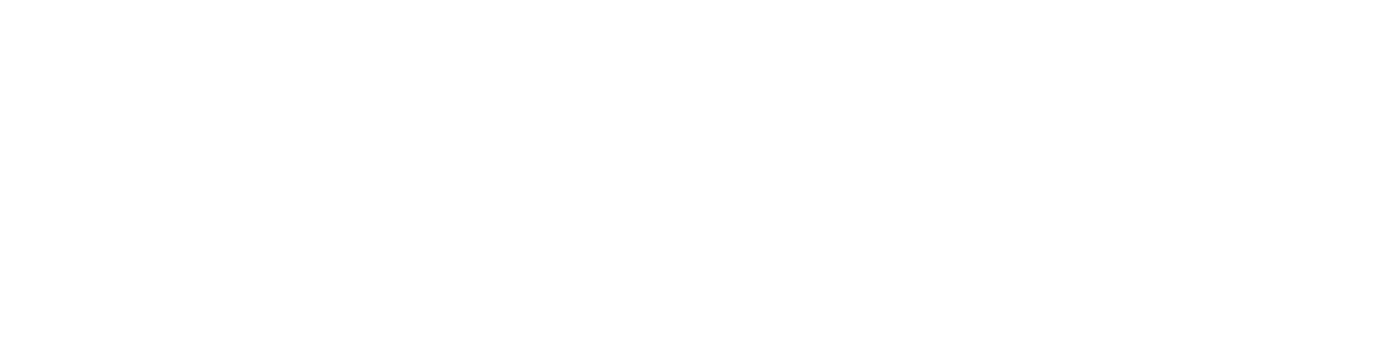 RoboX